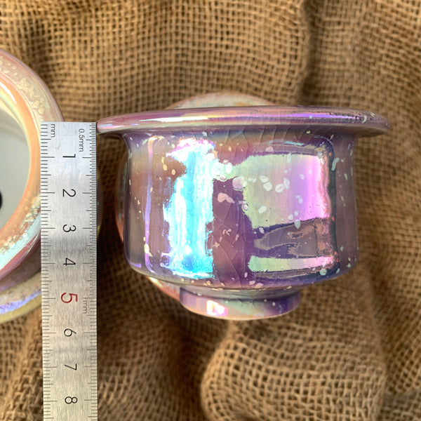Laser Rainbow Plate Pots 景德镇手工镭射花盆