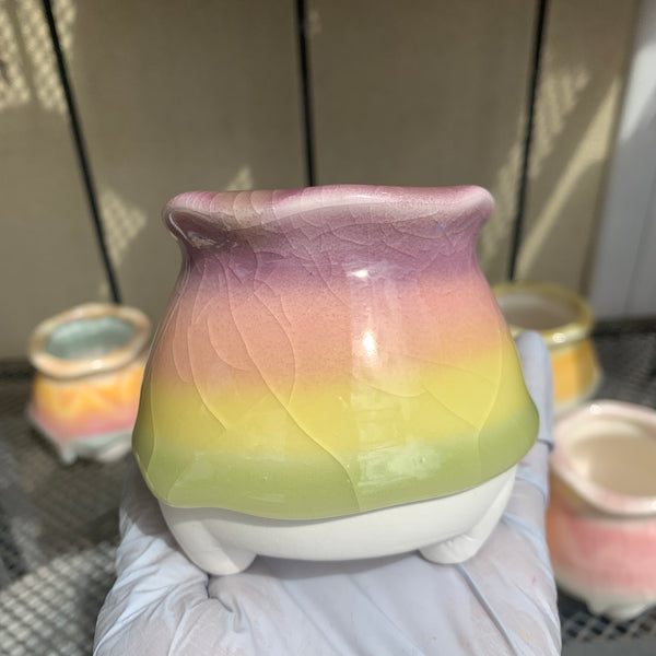 Clearance: Candy Pots 奶酪盆