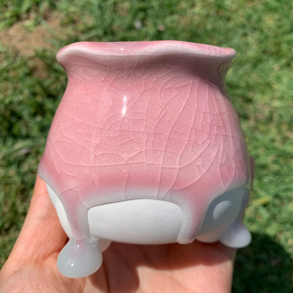 Clearance: Candy Pots 奶酪盆
