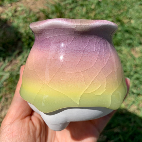Clearance: Candy Pots 奶酪盆