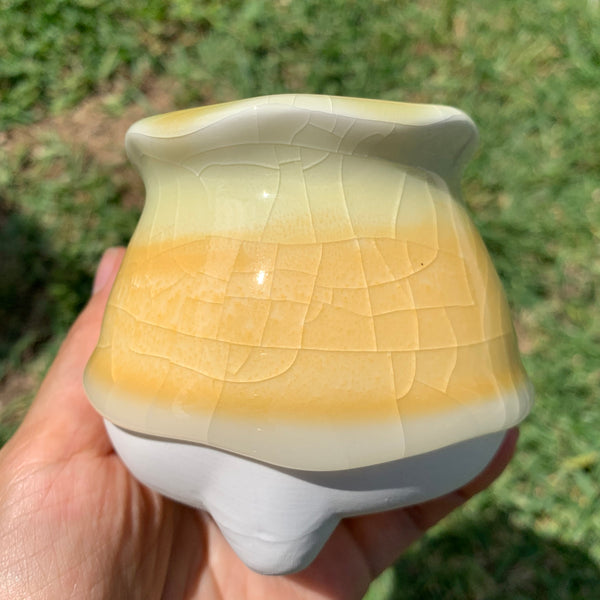 Clearance: Candy Pots 奶酪盆