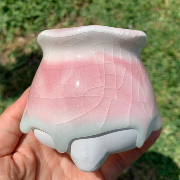 Clearance: Candy Pots 奶酪盆