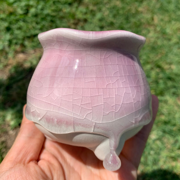 Clearance: Candy Pots 奶酪盆