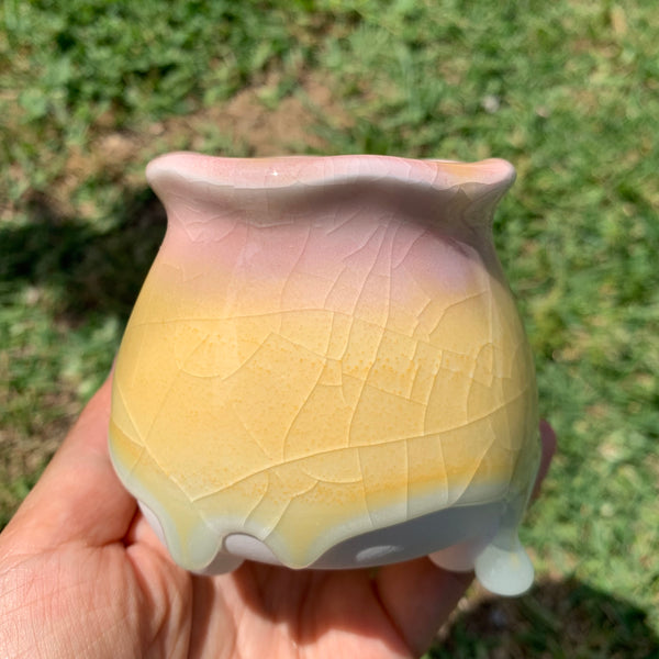 Clearance: Candy Pots 奶酪盆