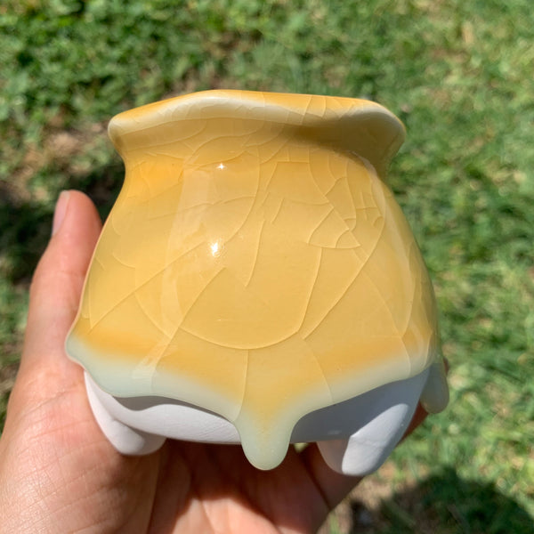 Clearance: Candy Pots 奶酪盆