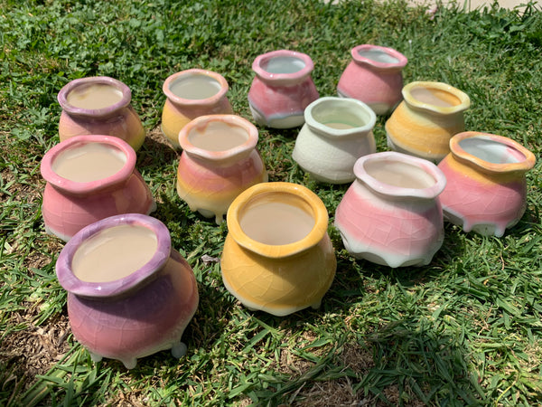 Clearance: Candy Pots 奶酪盆