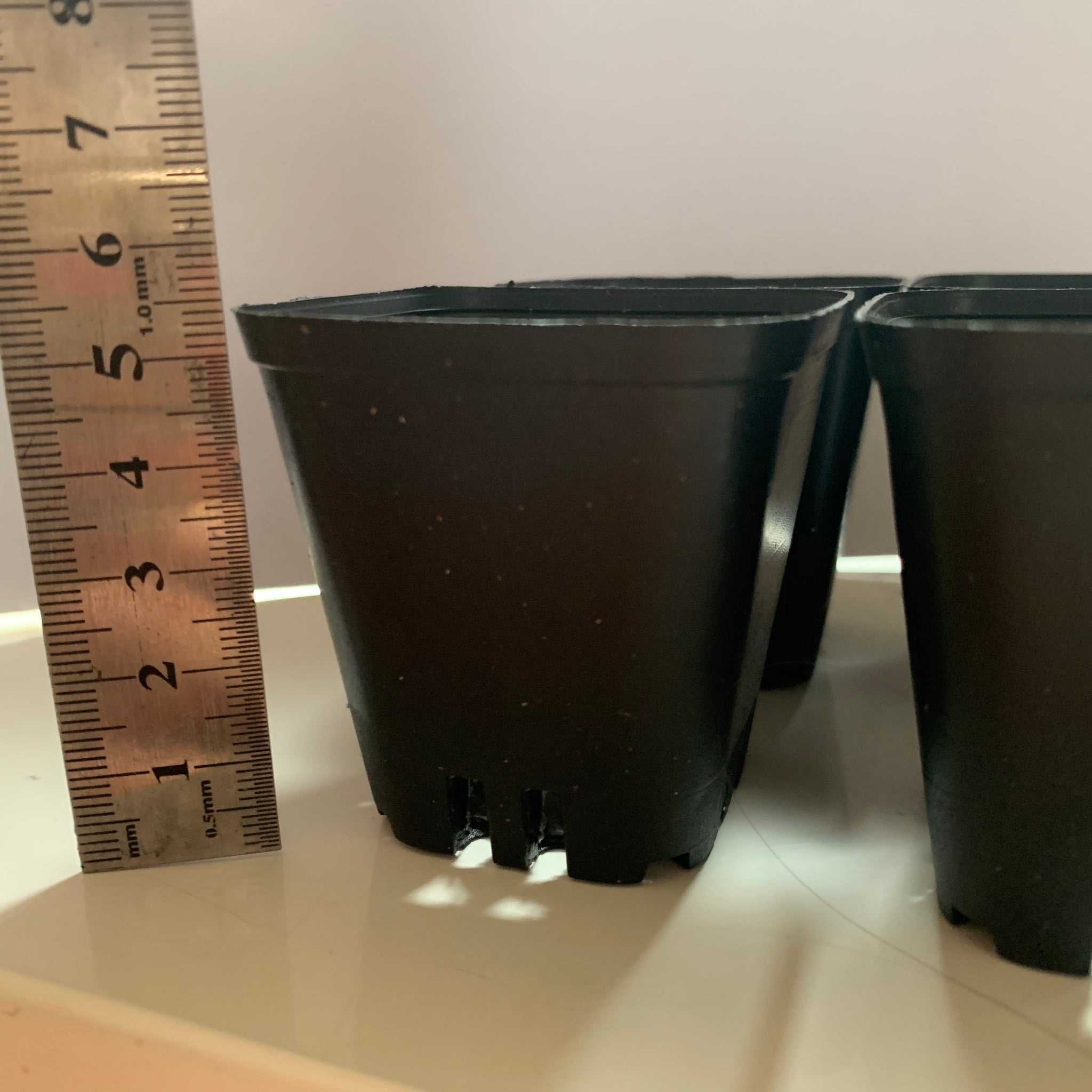 Plastic Pots 5.5cm - 20 pcs