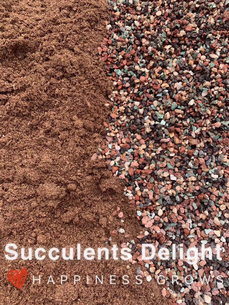 Premium succulent potting mix for mature plants/cacti 多肉颗粒土