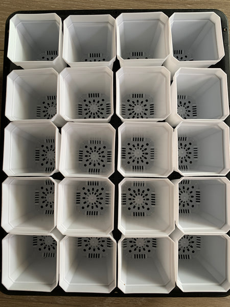 Plastic Tray + 20 pcs 7cm pots set (local pick up only）