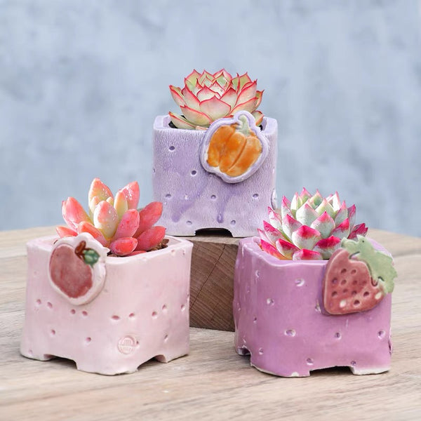 Yixi Candy Fruit Square Pots 一卌幻彩水果方盆