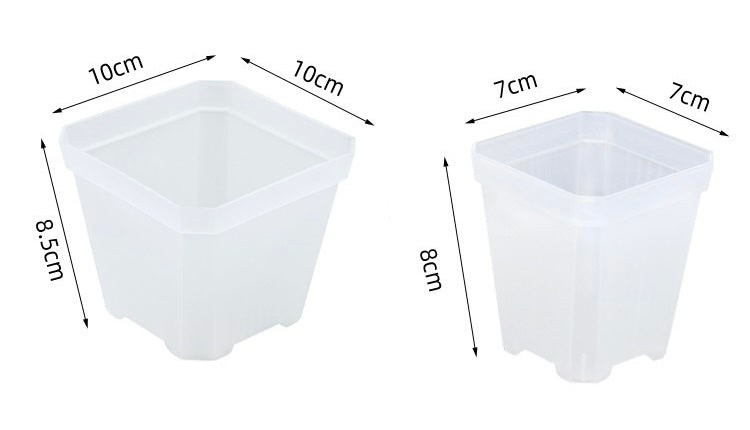 Extra Thick Transparent Plastic Pot 7/10cm 加厚7/10厘米半透明方盆