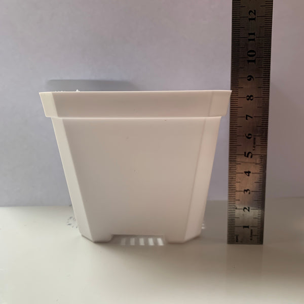 Extra Thick White Plastic Pot 10cm 加厚10厘米白色方盆