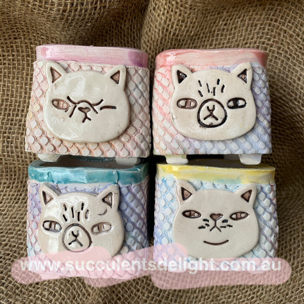 Yixi Candy cat Square Pots 一卌幻彩猫脸方盆