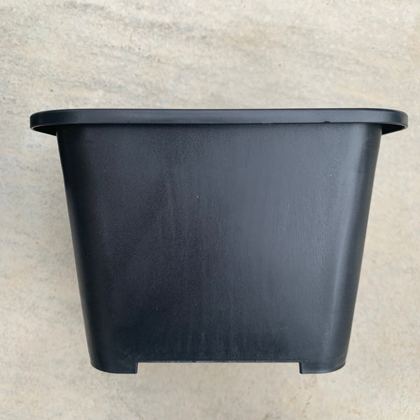 Extra Thick Black Plastic Pot 14.5cm 14.5厘米黑色加厚花盆