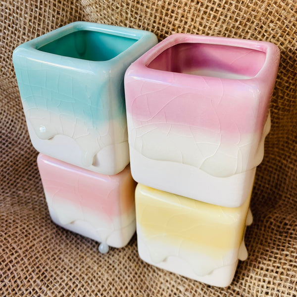 Special: Rainbow Candy Sqaure Pots 幻彩奶酪方盆
