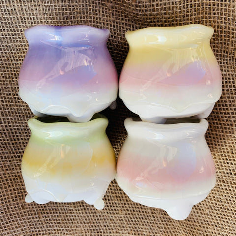 Special: Rainbow Candy Pots 幻彩奶酪盆