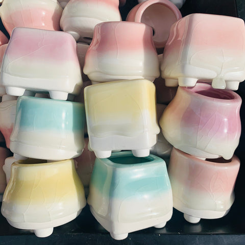 Special: Mini Ice Cracking Rainbow Candy Pots 幻彩奶酪拇指盆