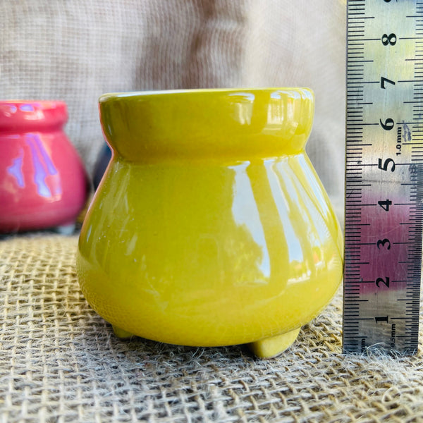 Rainbow Mini Pot Set (set of 5)彩虹拇指盆