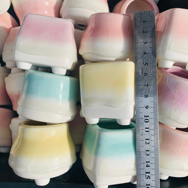 Special: Mini Ice Cracking Rainbow Candy Pots 幻彩奶酪拇指盆