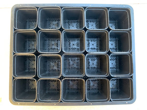 Plastic Tray + 20 pcs 7cm pots set (local pick up only）