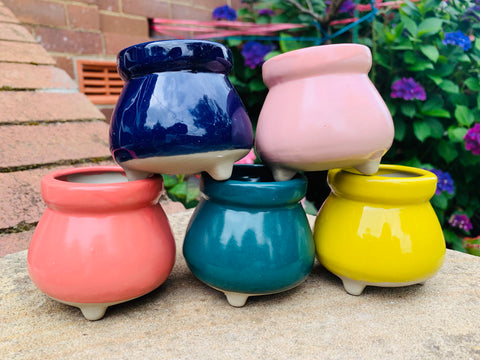 Rainbow Mini Pot Set (set of 5)彩虹拇指盆