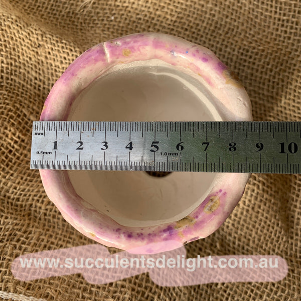 Yixi Christmas Candy Old Chunk Tall Pots  一卌岩石幻彩老桩盆