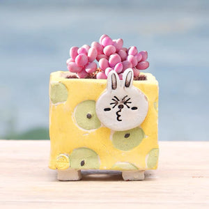 Yixi Lime Cartoon Square Pots 一卌卡通可爱小萌兔粗陶花盆